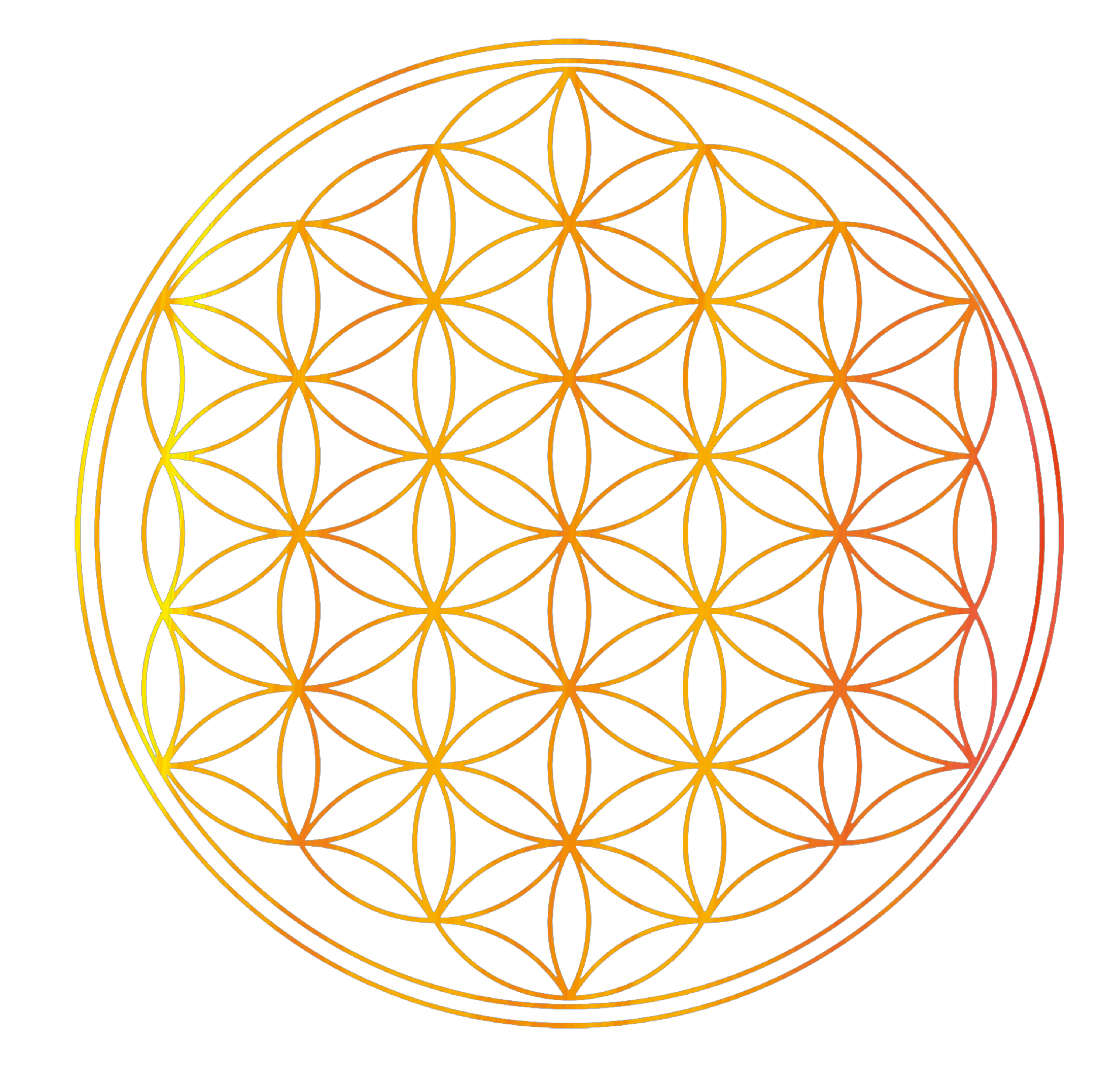 Lebensblume Johanna Sederl