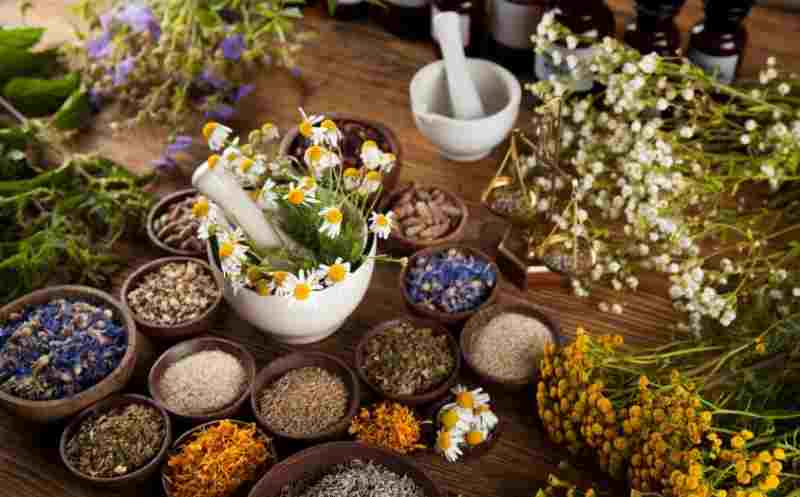 Nutrazeutika aus dem Garten – kostenloser Kurs von Johanna Sederl